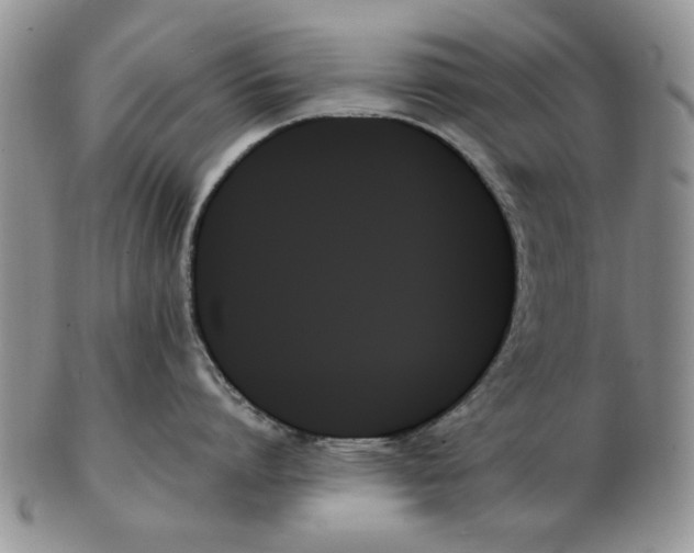 X0000102260864200808221414