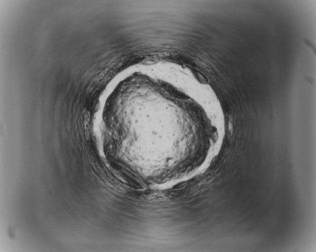 X0000102260867200808221413
