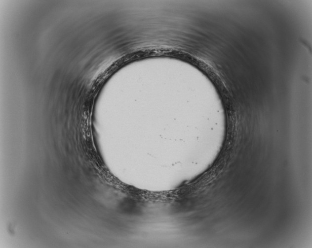 X0000102260871200808221413