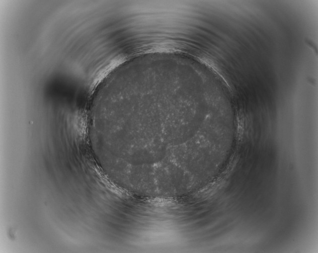 X0000102260874200808221413