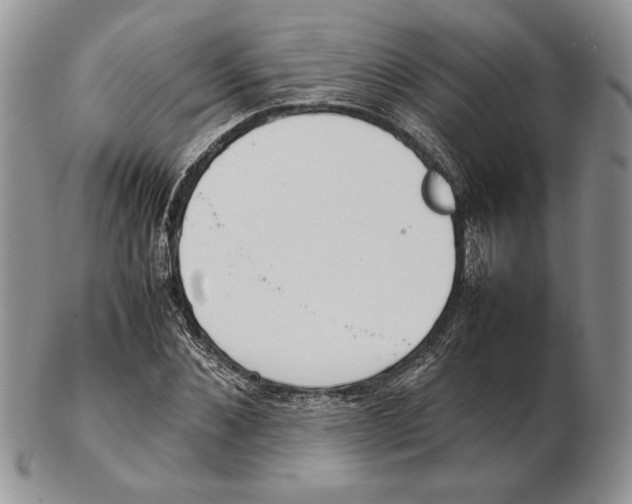 X0000102260876200808221413