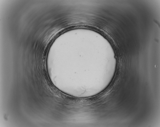 X0000102260879200808221413