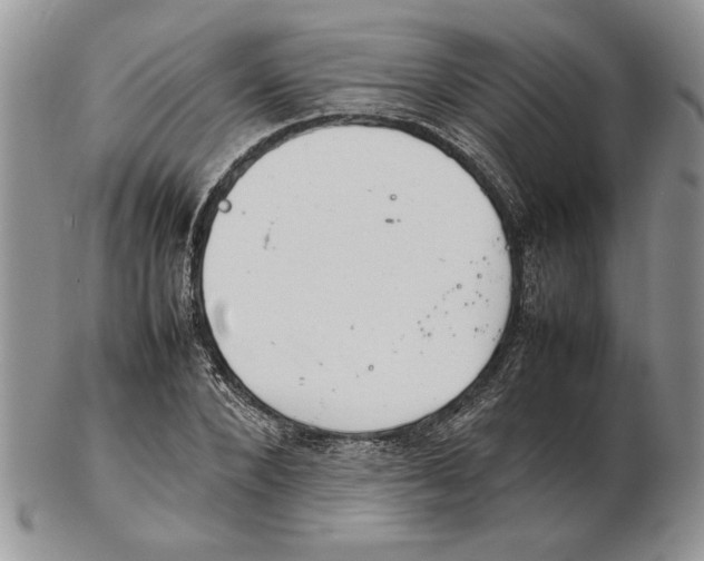 X0000102260880200808221413