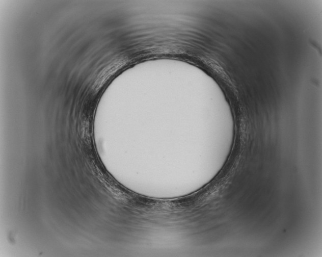 X0000102260881200808221413