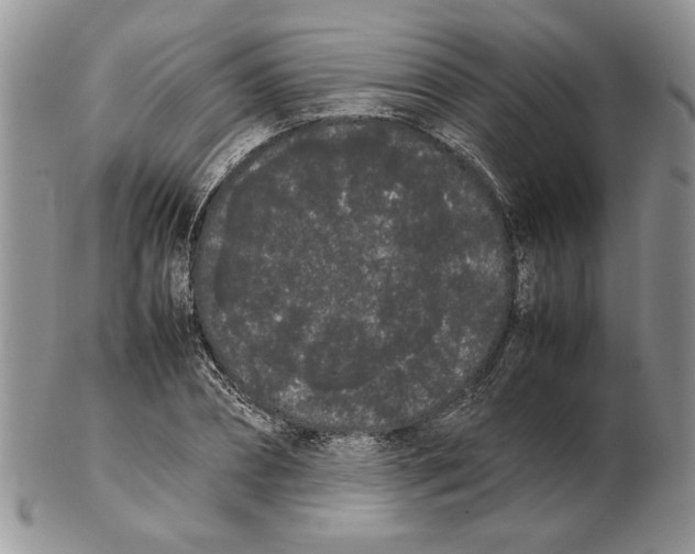X0000102260882200808221413