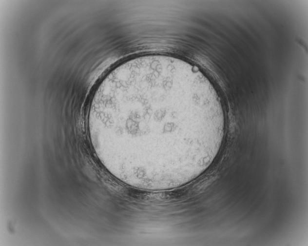 X0000102260883200808221412