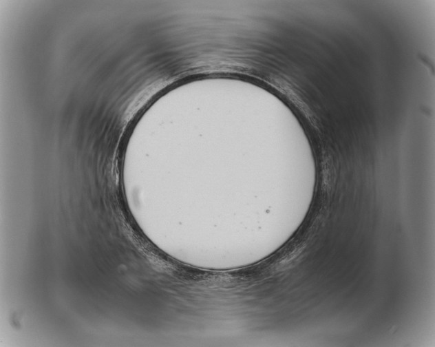 X0000102260885200808221412