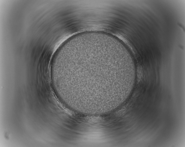 X0000102260886200808221412