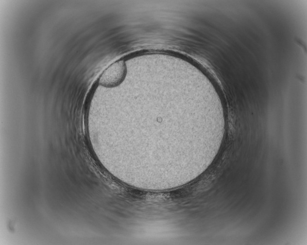 X0000102260887200808221412