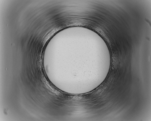 X0000102260890200808221412