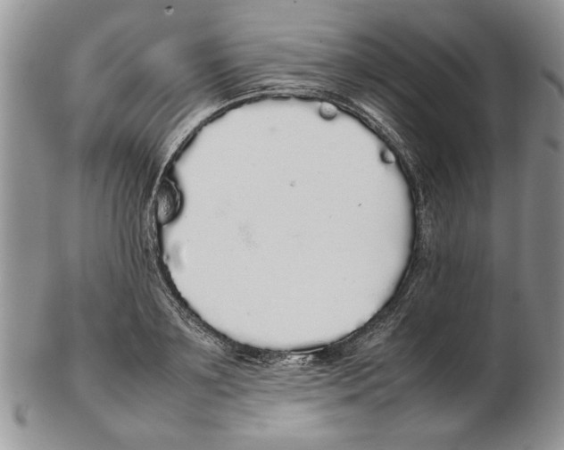 X0000102260891200808221412