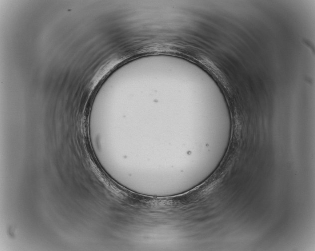X0000102260893200808221412