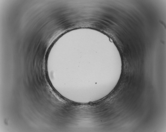 X0000102260894200808221412