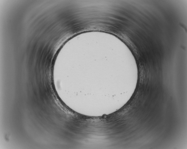 X0000102260896200808221412