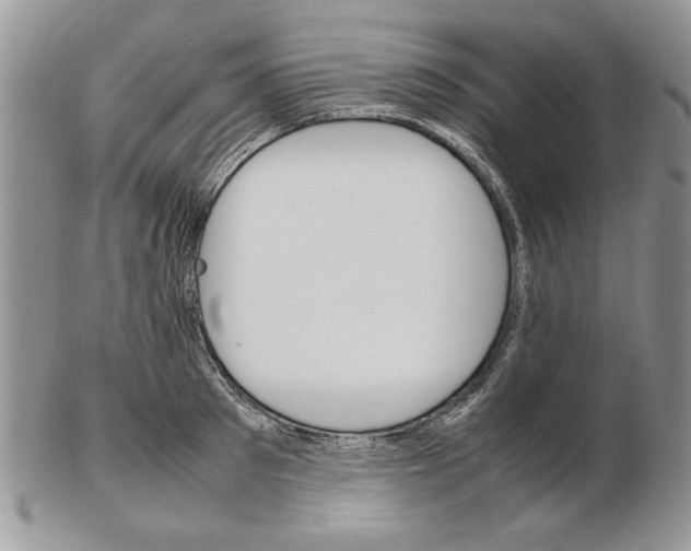 X0000102260897200808221412