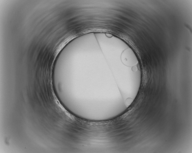 X0000102260898200808221412