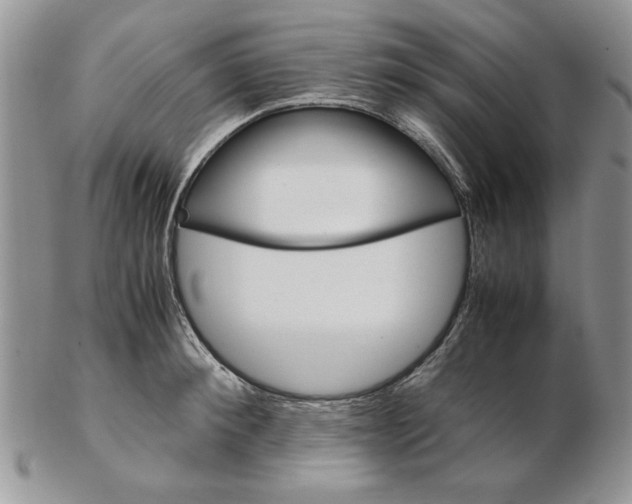 X0000102260900200808221412