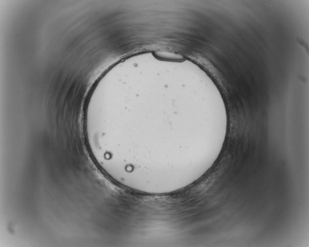 X0000102260902200808221412