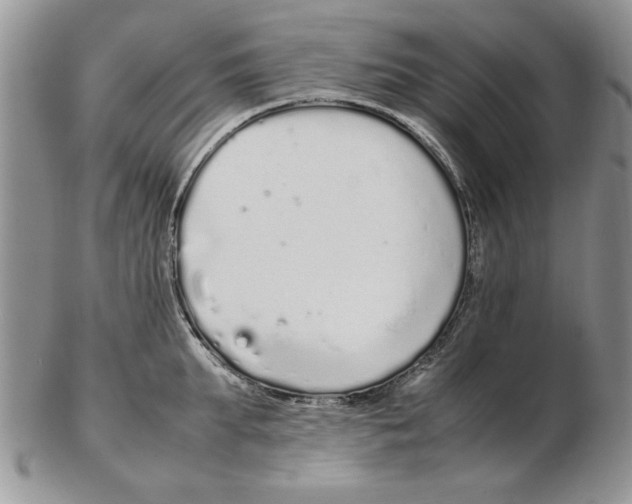 X0000102260903200808221412