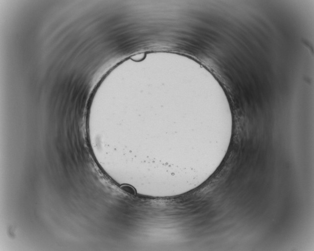 X0000102260904200808221412
