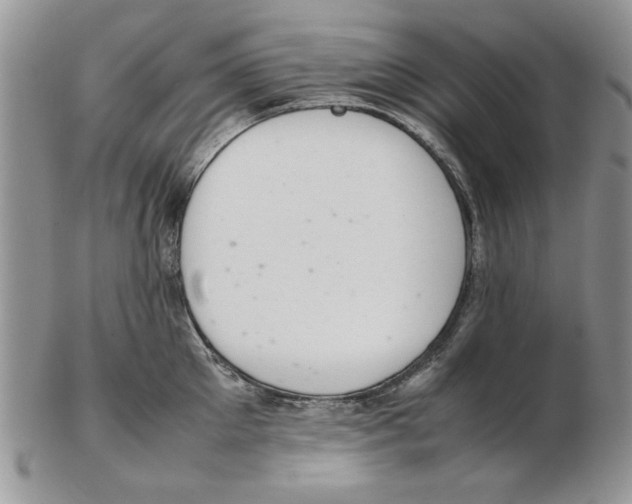 X0000102260905200808221412