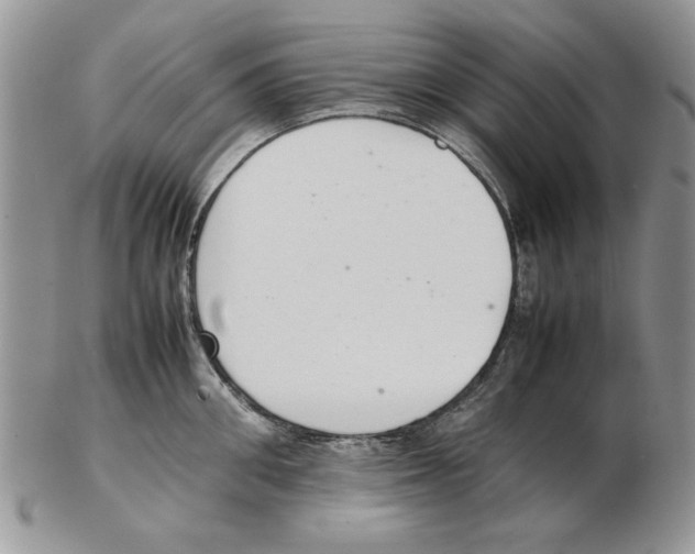 X0000102260906200808221412
