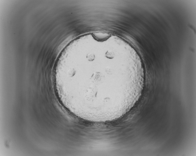 X0000102260907200808221412