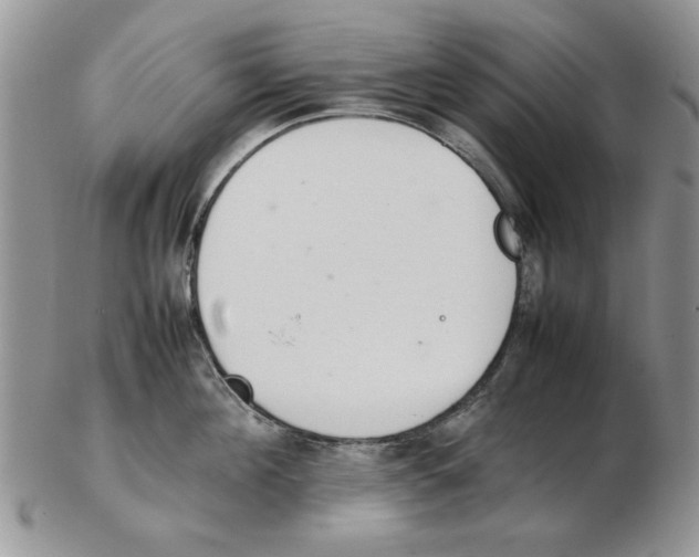 X0000102260908200808221412