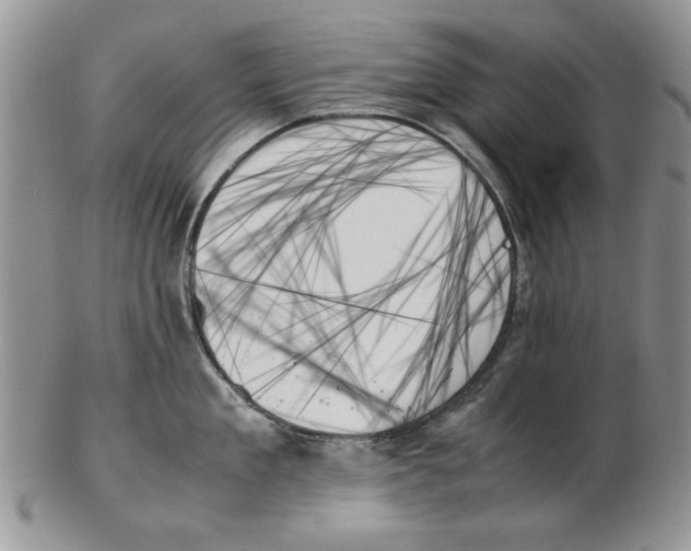 X0000102260909200808221412