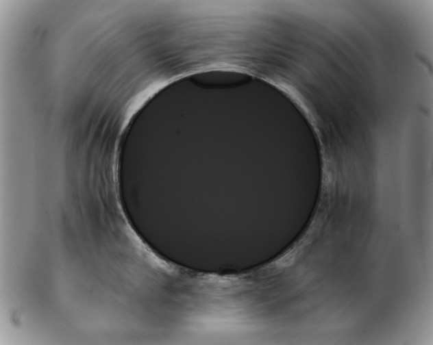 X0000102260910200808221412