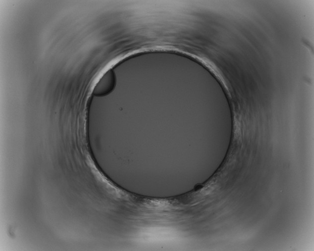 X0000102260911200808221412