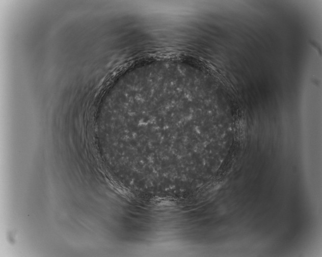 X0000102260913200808221411
