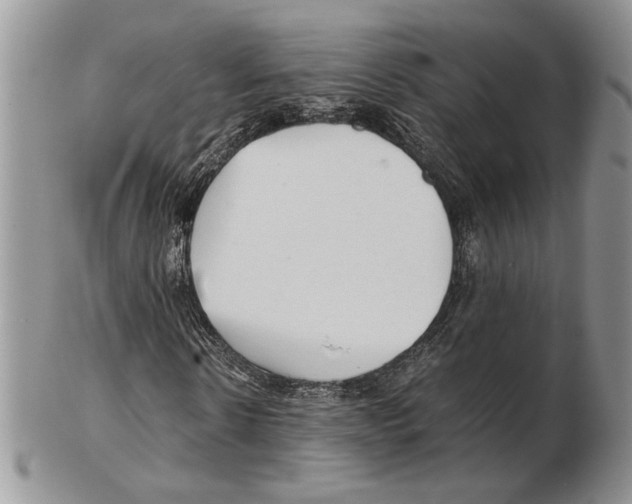 X0000102260914200808221411