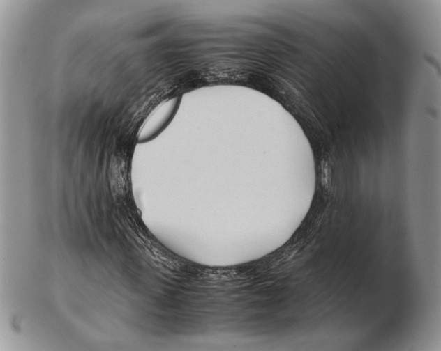 X0000102260915200808221411