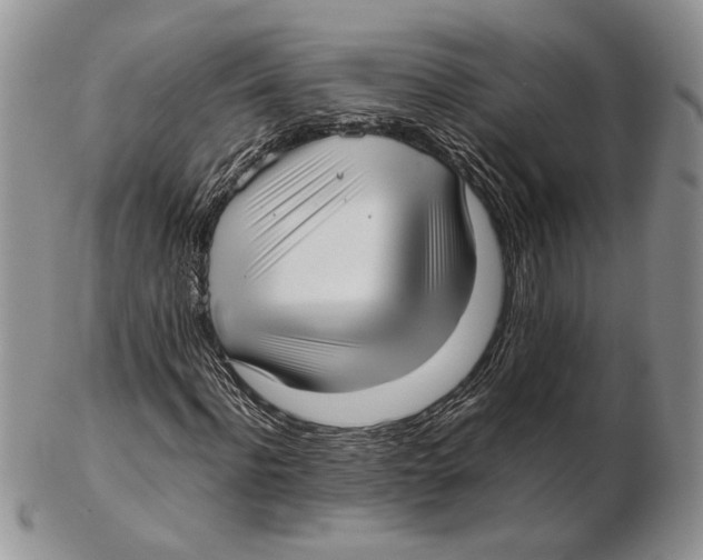 X0000102260916200808221411
