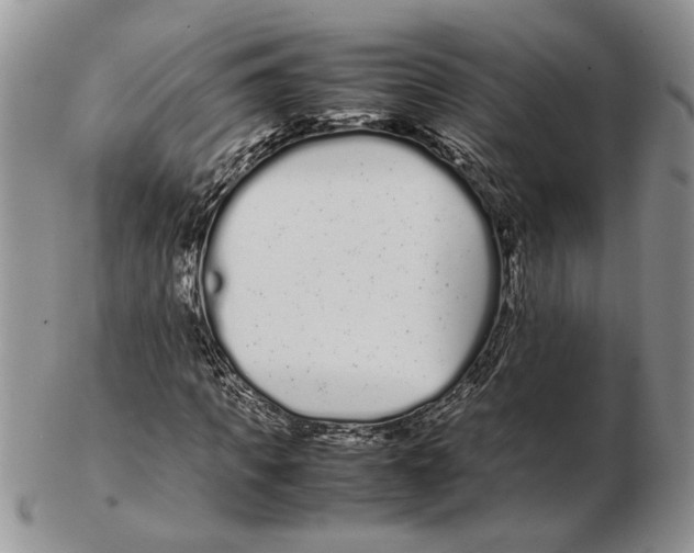 X0000102260917200808221411