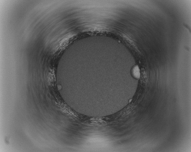 X0000102260918200808221412