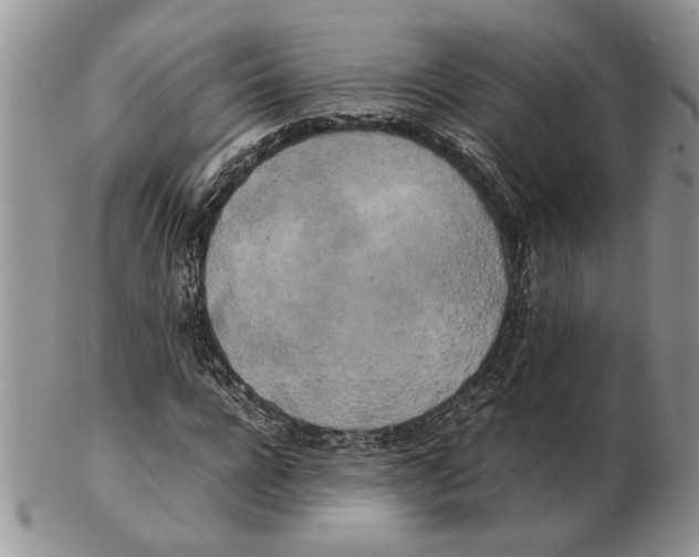 X0000102260920200808221412