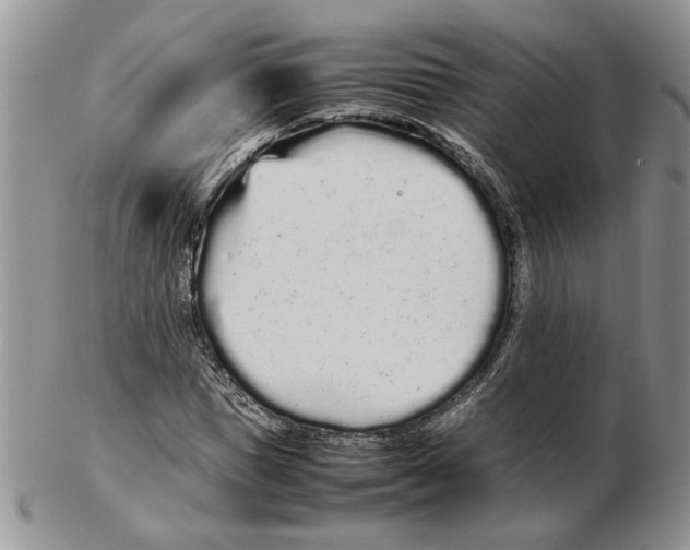 X0000102260921200808221412