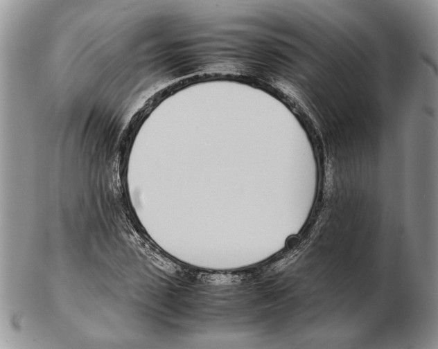X0000102260923200808221412
