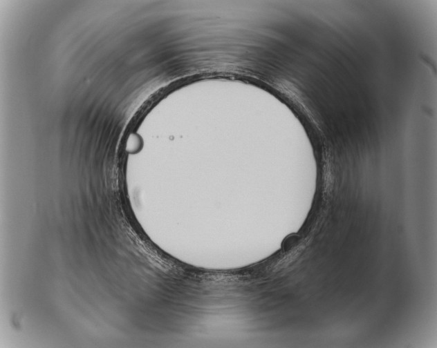 X0000102260924200808221412