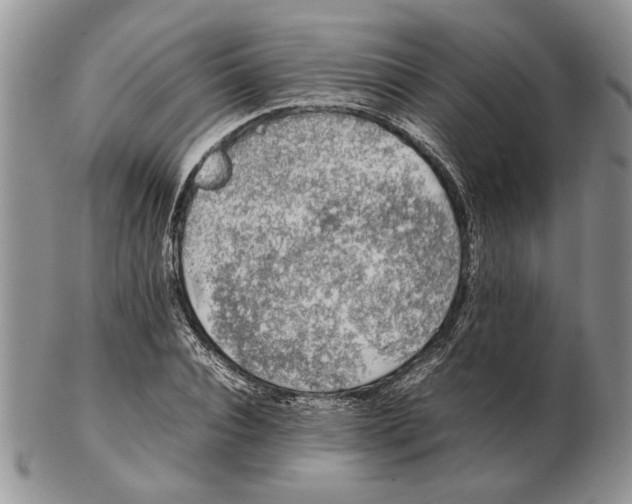 X0000102260928200808221412