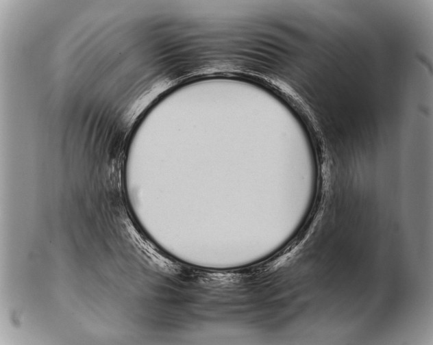 X0000102260929200808221412