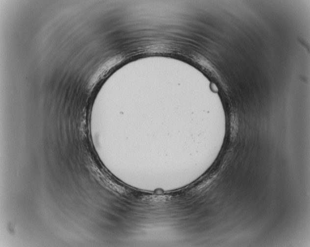 X0000102260930200808221412