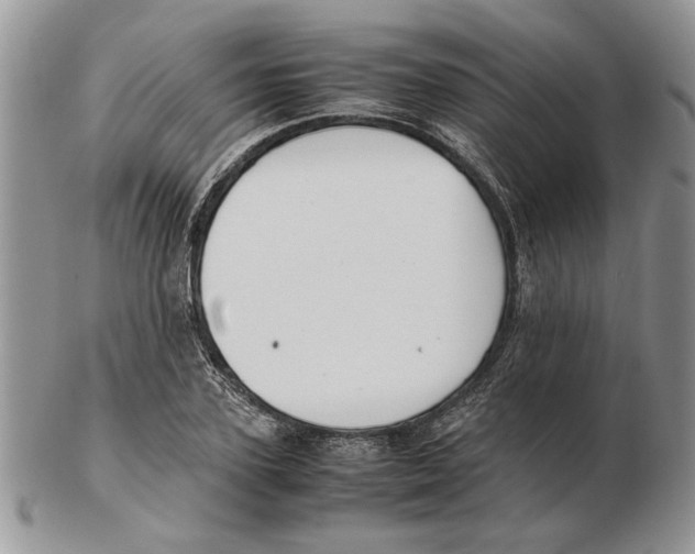 X0000102260931200808221412