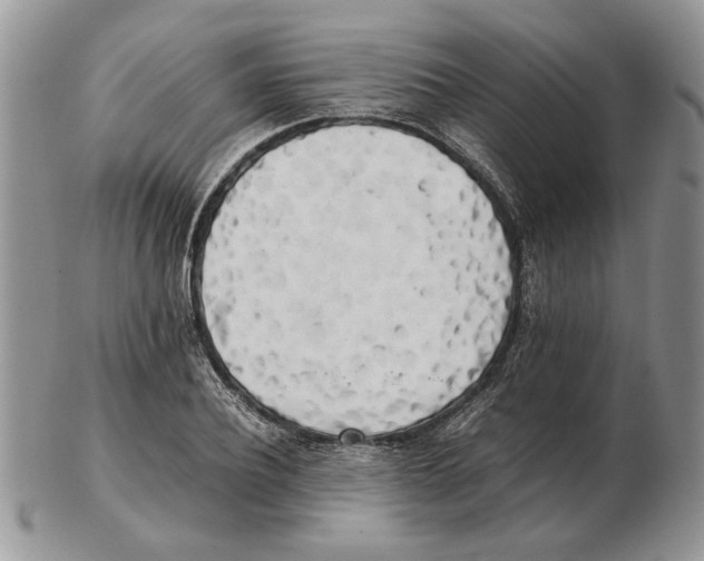X0000102260932200808221412