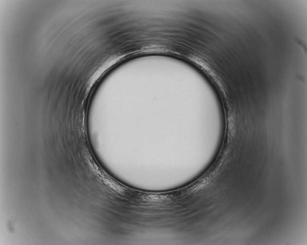 X0000102260933200808221412