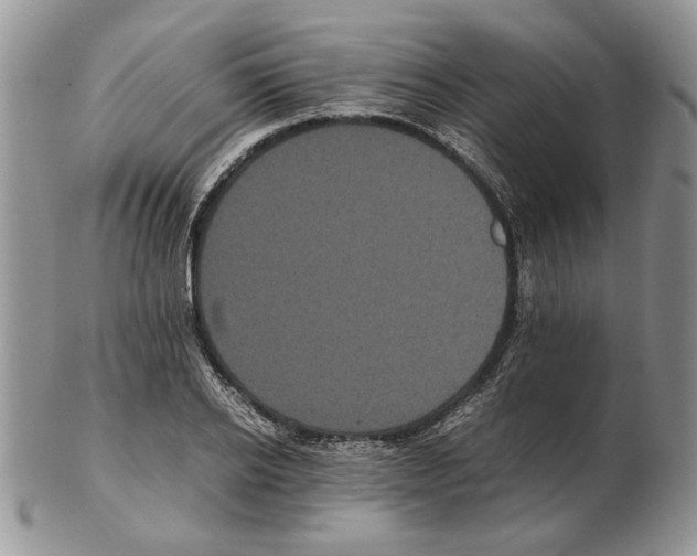 X0000102260934200808221412