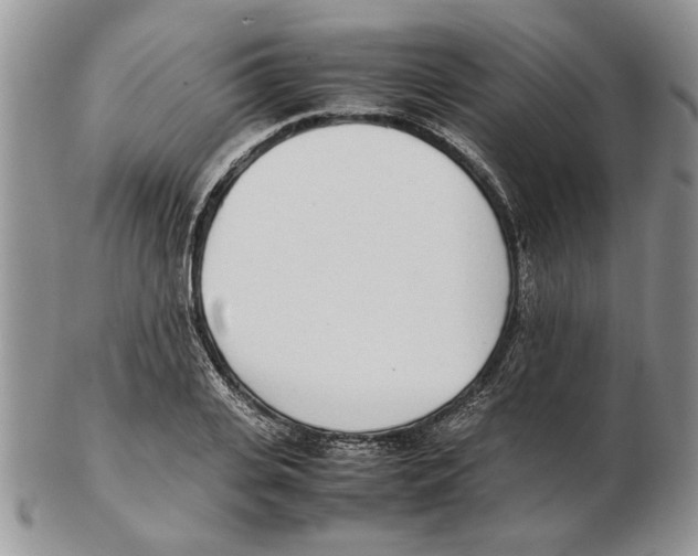 X0000102260935200808221412