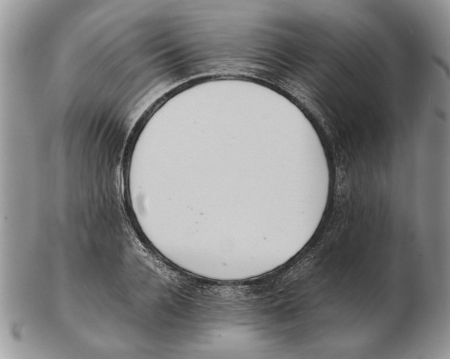 X0000102260936200808221412